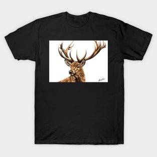 Stag T-Shirt